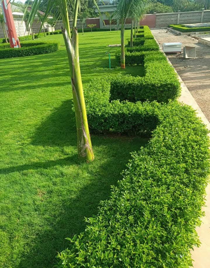 Commercial Project 2