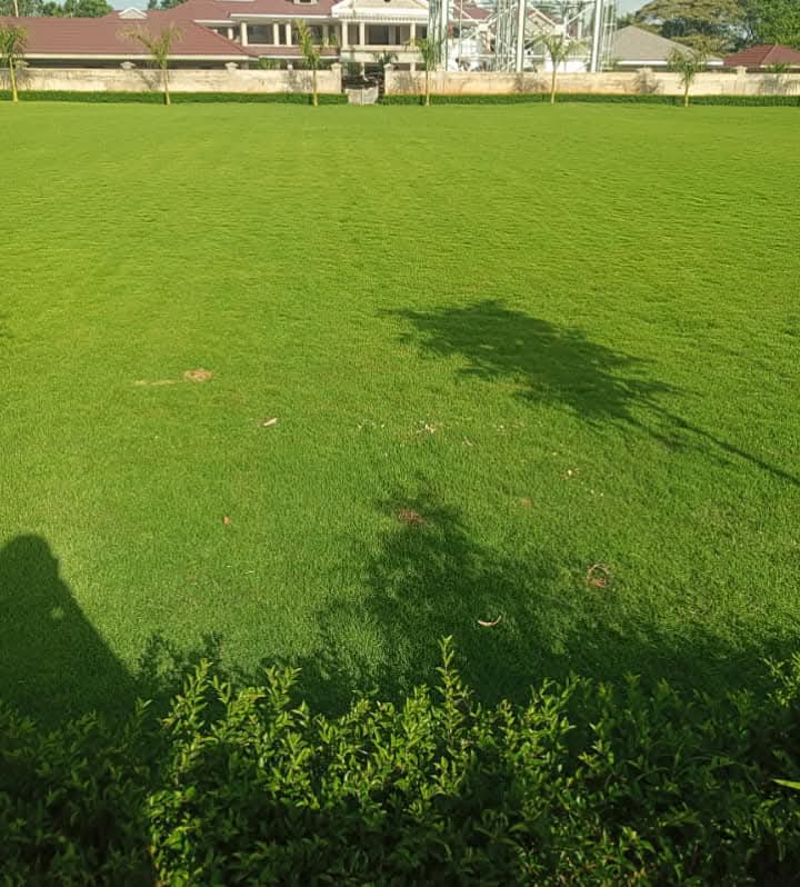 Residential Project 3