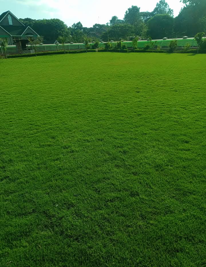 Residential Project 2